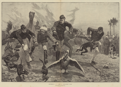Amusements in Camp, a Menagerie Race (engraving)