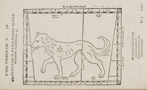 Star constellations and heavenly bodies. Dog star. Canis Minor.