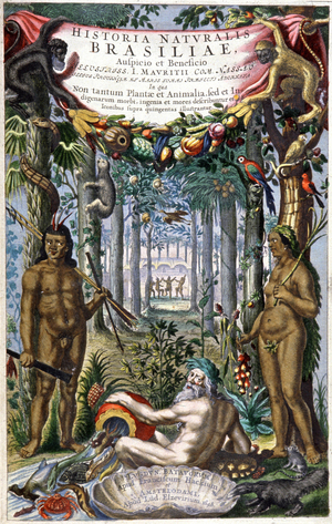 History naturalis Brasiliae, 1648 (engraving)