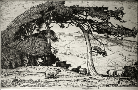 A Cotswold Clump, 1975 (etching)