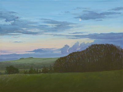Winter Nightfall along the Wessex Ridgeway, 2011 (oil on canvas)