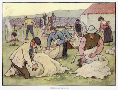 Sheep-Shearing (colour litho)
