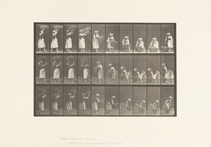 Plate 454. Taking 12-lb basket from Head and Placing it on Ground, 1885 (collotype on paper)