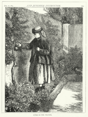 Slugs on the Peaches (engraving)