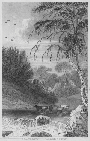 Llanddewi, Cardiganshire (engraving)