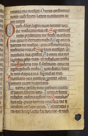 Psalter (Hildesheim), 13th century (manuscript)