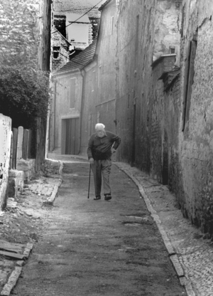 Saxony-Anhalt Freyburg 1991 (photo)