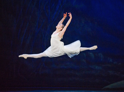 The Nutcracker (photo)