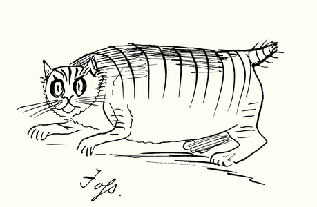 Edward Lear’s cat, Foss (colour litho)