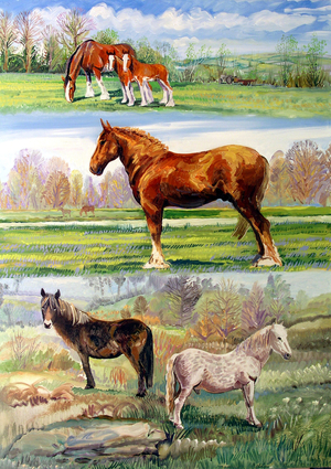Horses & Ponies, 2010 (oil on panel)