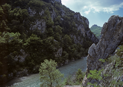 The gorge of the Tarn river (photo)