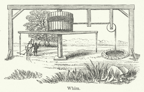 Whim (engraving)