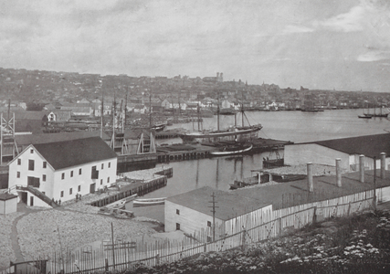 Newfoundland: Bird's eye View of St John's, from west end, looking north (b/w photo)
