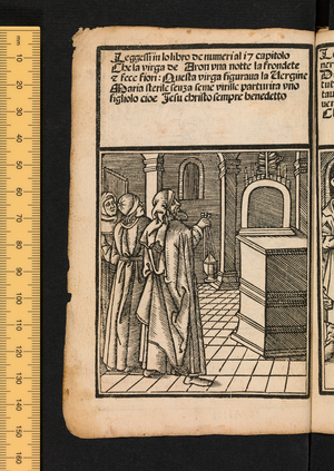 Figures of the Old Testament, c1525-1531 (woodcut)