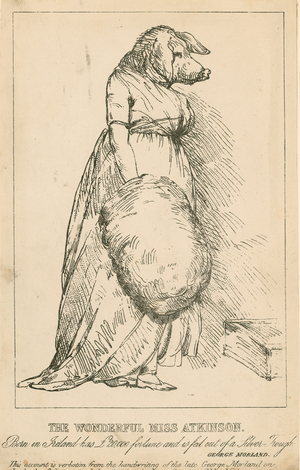 The Wonderful Miss Atkinson, born in Ireland, has £20,000 fortune and is fed out of a silver trough (engraving)