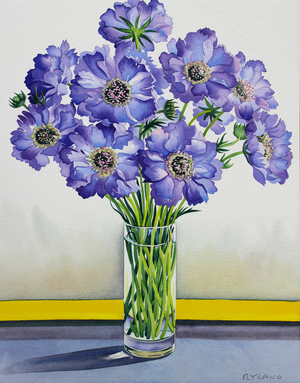 Scabious with Yellow Band, 2015 (watercolour on paper)