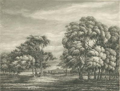 Castle Church - Stafford Castle: sepia drawing, nd [?19th cent] (drawing)