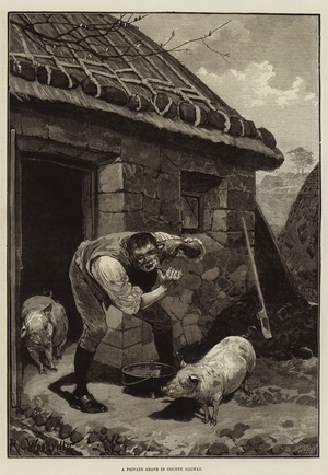 A Private Shave in County Galway (engraving)