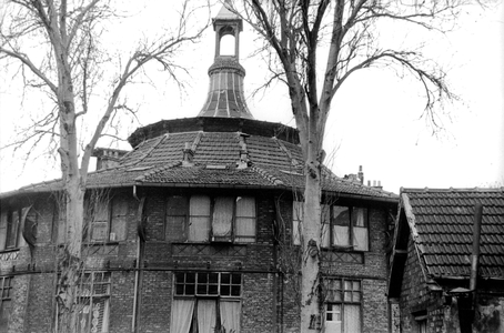 The Hive (b/w photo)