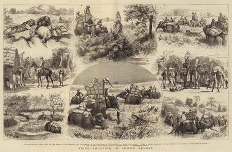 Tiger-Shooting in Lower Bengal (engraving)