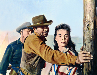 Comanche Station by Budd Boetticher, 1960