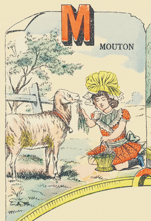 M : mouton