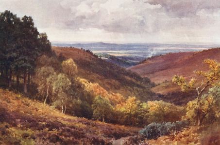 Hindhead, The Punchbowl, Looking North (colour litho)