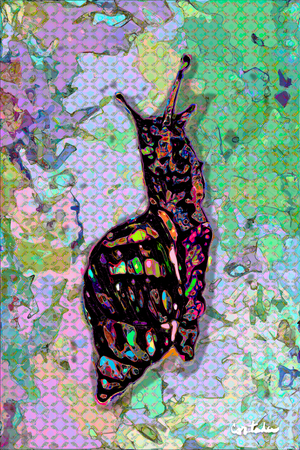 (Florida is…) Tree snails