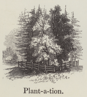 Plantation (engraving)