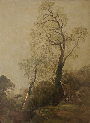 Birches in Helmingham Park (oil on canvas)