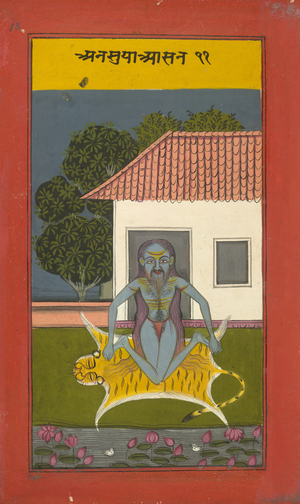A yogi