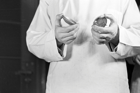 Scientific staff member with a filter, Germany 1930s (b/w photo)