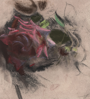 Burgundy Hybrid Tea Rose (pastel on prepared paper) 