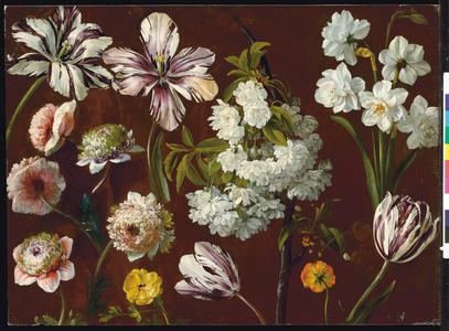 Purple tulips, white flowering prunus, narcissus and pink chrysanthemum (oil on paper)