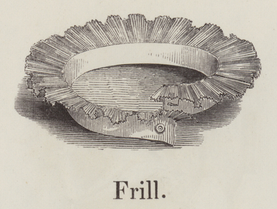Frill (engraving)