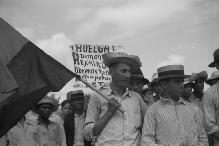 Striking workers picketing near the sugar mill in Yabucoa, Puerto Rico, 1942 (b/w photo)