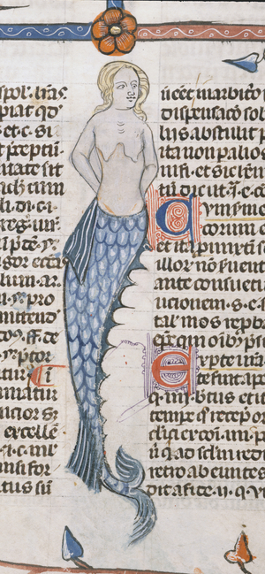 Royal 10 E. IV, f.47 A Mermaid, from the 'Decretals of Gregory IX with gloss of Bernard of Parma' (the 'Smithfield Decretals') edited by Raymund of Penyafort, c.1340 (ink & colour on vellum)