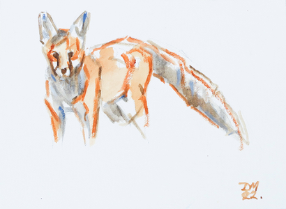 Red Fox, 2022 (oil on canvas)