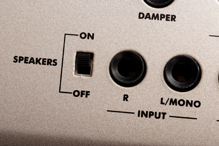 Speaker switch and input