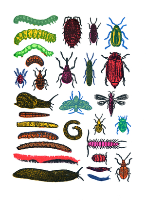 Garden Pests, 2013 (screen print)