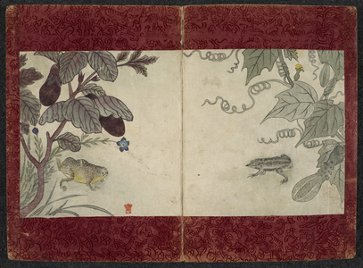 Frogs and aubergine.