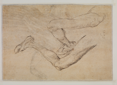 Study of a left leg from two viewpoints (verso), 1493 (pen & brown ink on laid paper)