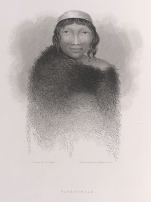 A Patagonian