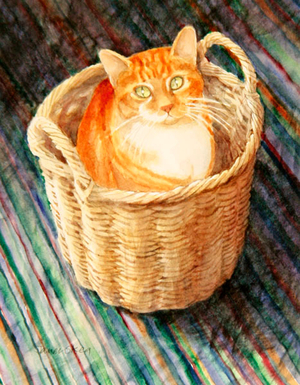 Ginger (w/c on paper)