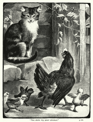 "You stole my poor chicken" (engraving)