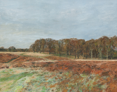 Richmond Park, 2019 (oil on canvas)