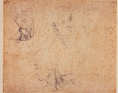 Four male head studies, 16th century (drawing)