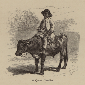 A Queer Cavalier (engraving)