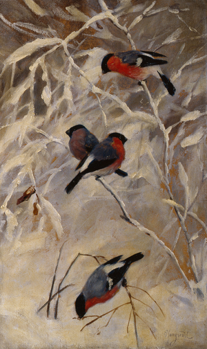 Bullfinches