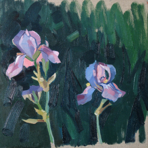 Last of the irises